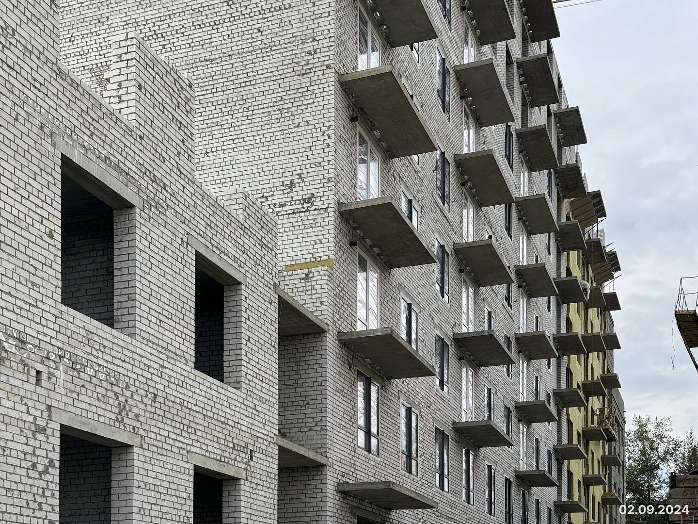 Сентябрь 2024